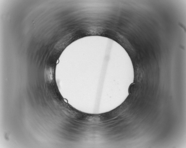 X0000101460075200808041052
