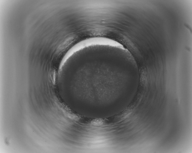 X0000101460076200808041052