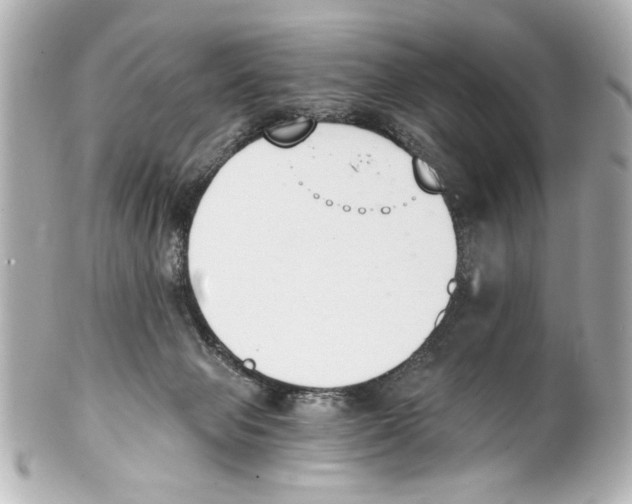 X0000101460077200808041052