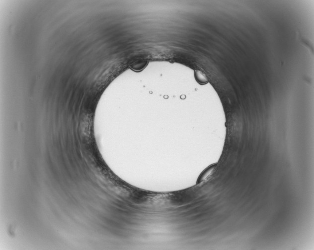X0000101460078200808041052