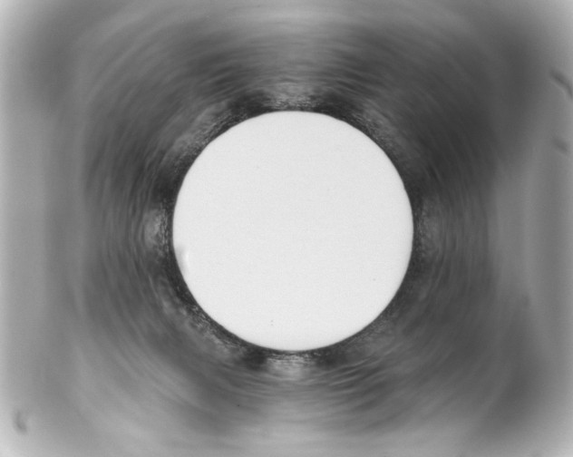 X0000101460079200808041052