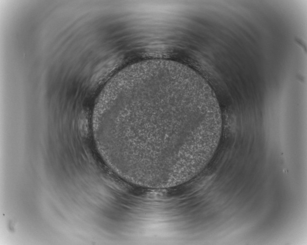 X0000101460080200808041052