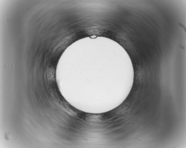 X0000101460081200808041052