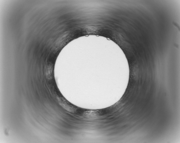 X0000101460082200808041052