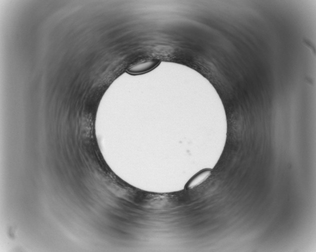 X0000101460083200808041052