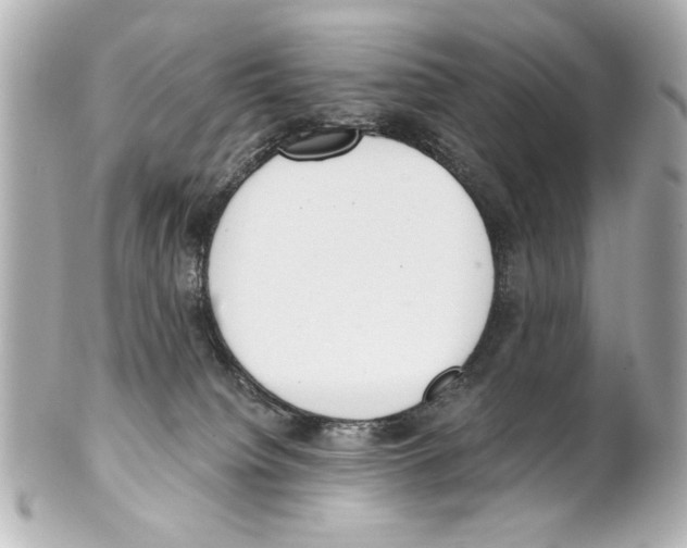 X0000101460084200808041052
