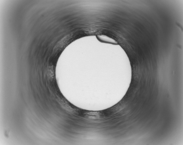X0000101460085200808041052