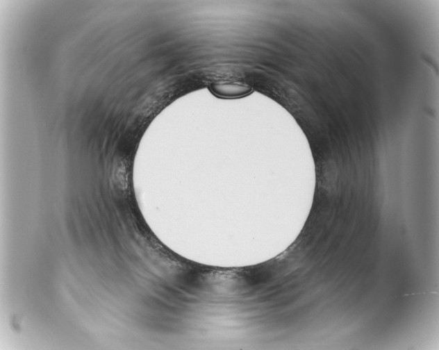 X0000101460086200808041052