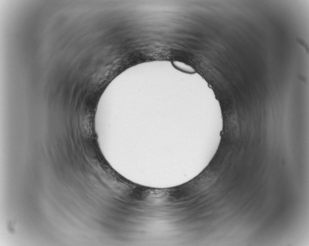 X0000101460088200808041052