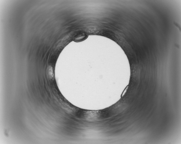 X0000101460089200808041052