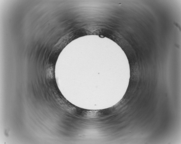 X0000101460090200808041052