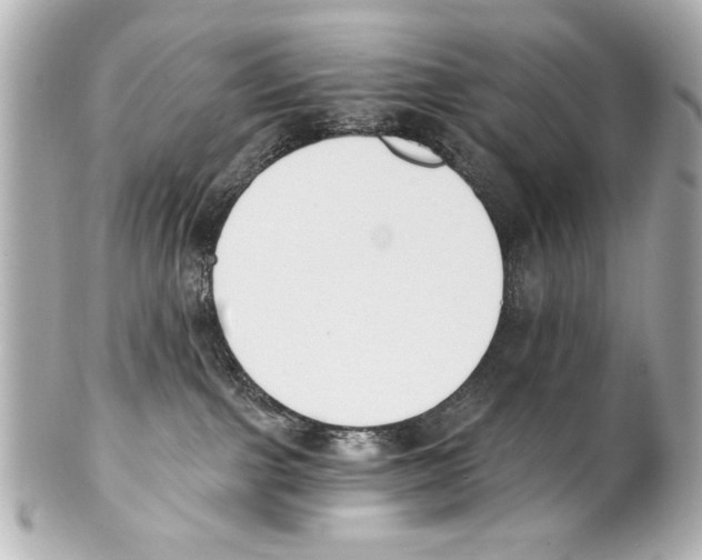 X0000101460091200808041052