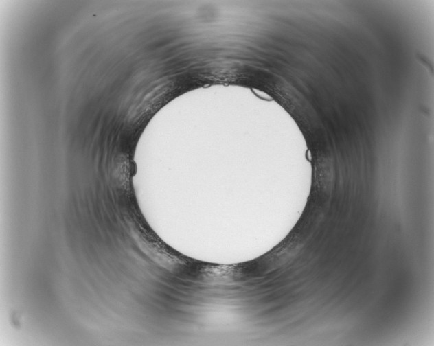 X0000101460092200808041052
