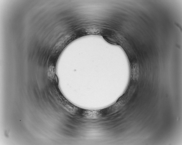 X0000101460093200808041052