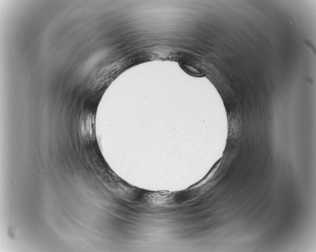 X0000101460094200808041052