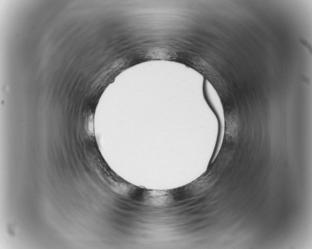 X0000101460095200808041052