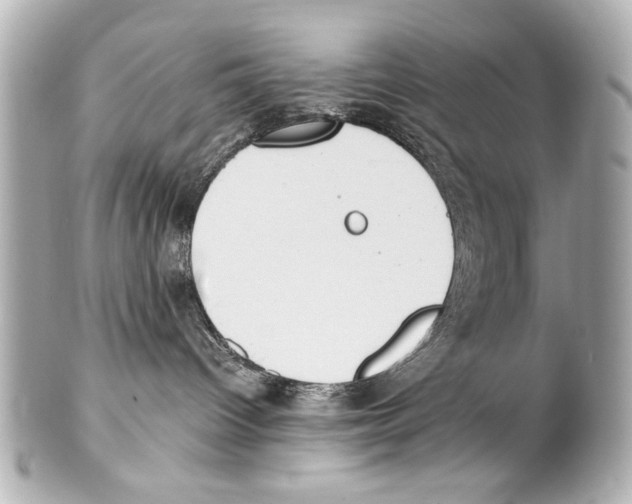 X0000101460096200808041052