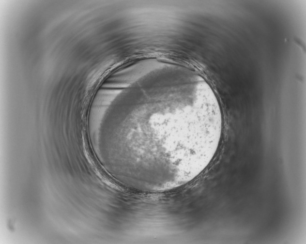 X0000101460097200808041051
