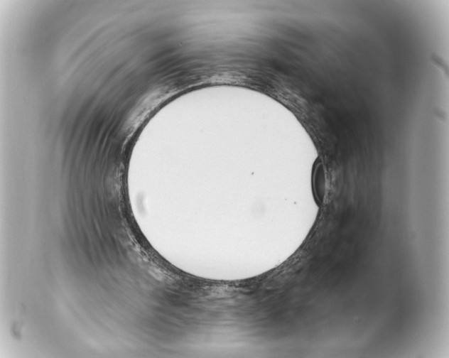 X0000101460098200808041051