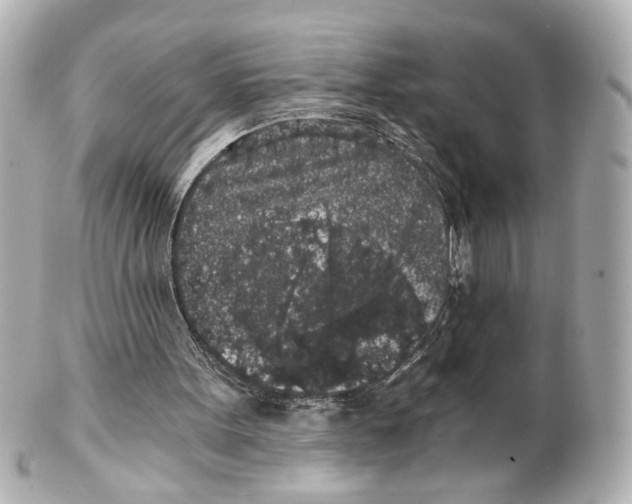X0000101460099200808041051