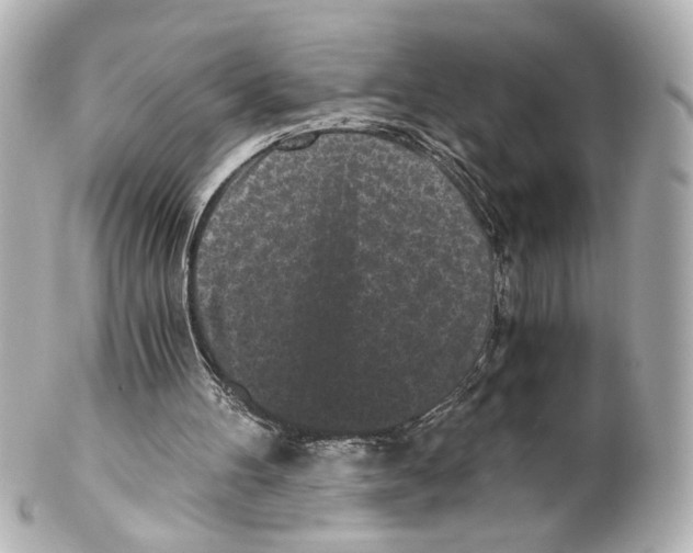 X0000101460100200808041051