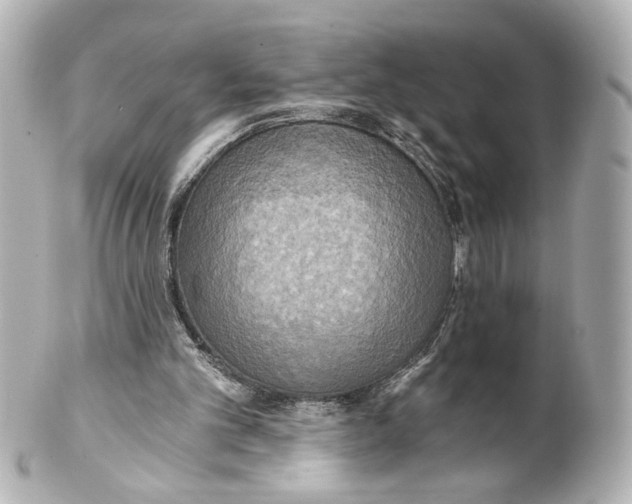 X0000101460101200808041051