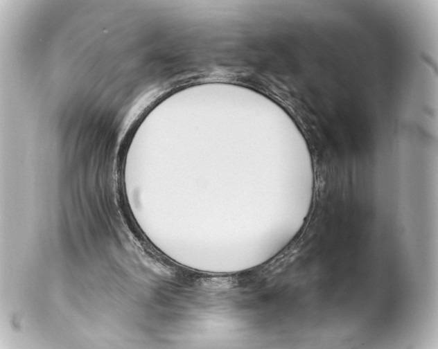 X0000101460102200808041051