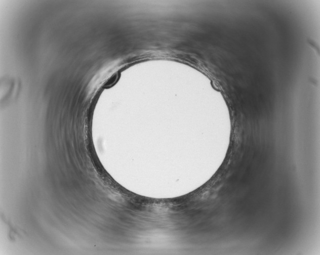 X0000101460103200808041051