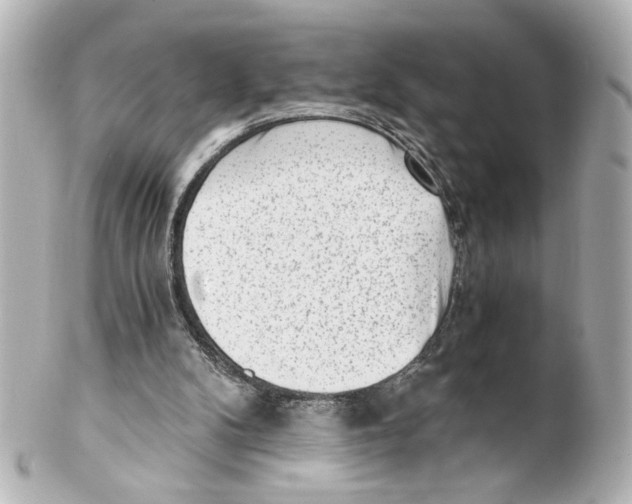 X0000101460104200808041051