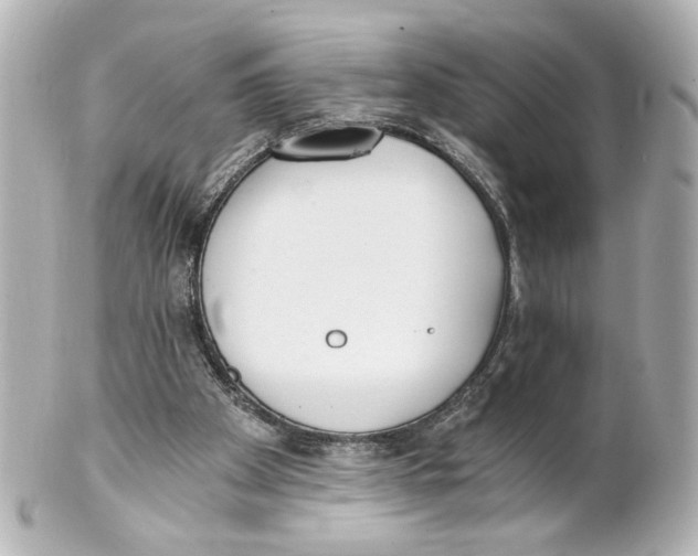 X0000101460105200808041051