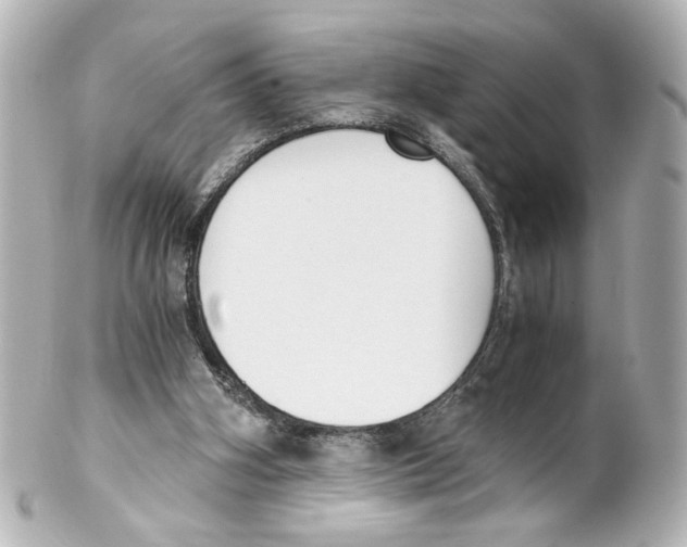 X0000101460106200808041051