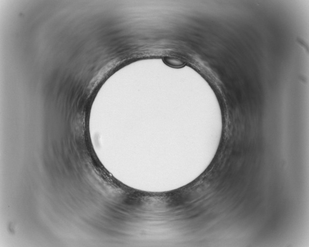 X0000101460107200808041051
