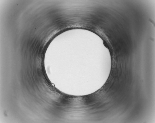 X0000101460108200808041051
