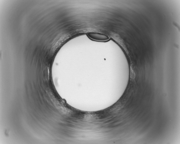 X0000101460109200808041051