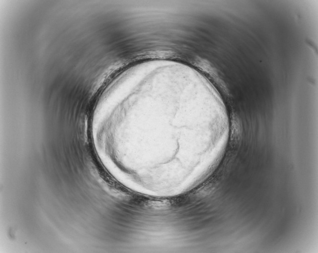 X0000101460110200808041051