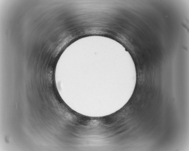 X0000101460111200808041051