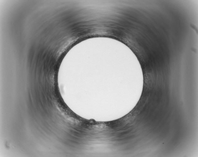 X0000101460112200808041051