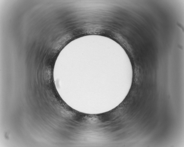 X0000101460113200808041051
