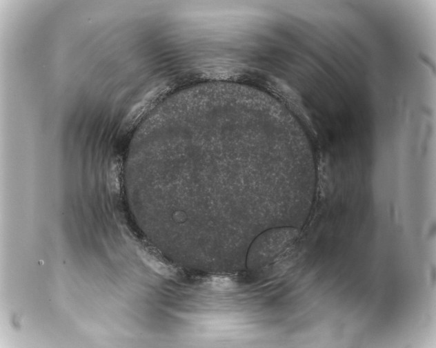 X0000101460114200808041051