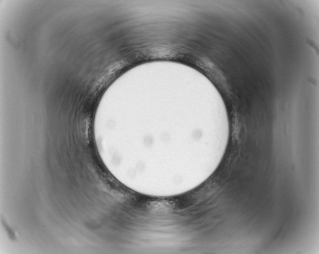 X0000101460115200808041051
