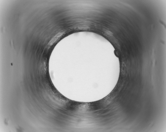 X0000101460116200808041051