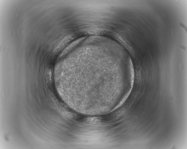 X0000101460117200808041051