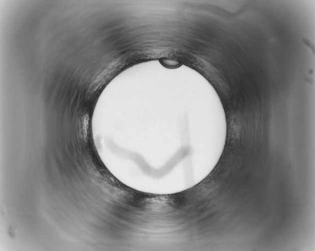 X0000101460118200808041051