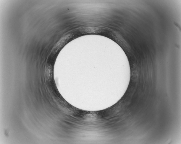 X0000101460119200808041051