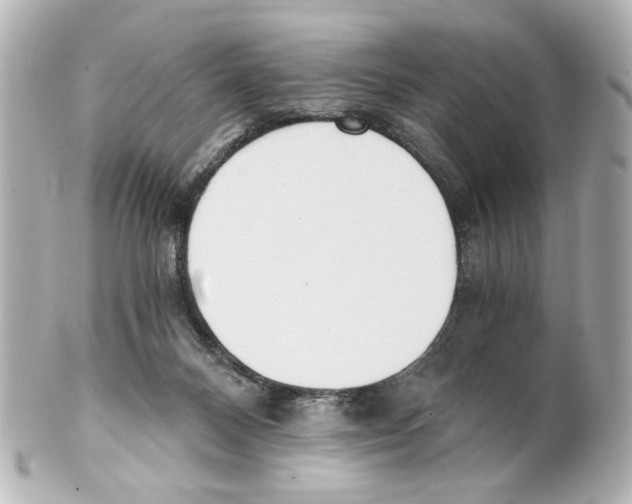 X0000101460120200808041051