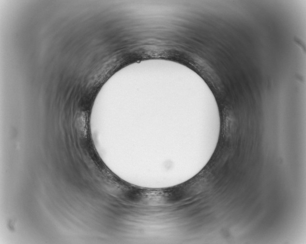 X0000101460121200808041051