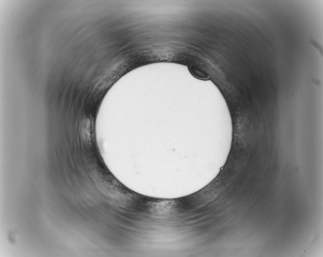 X0000101460122200808041051