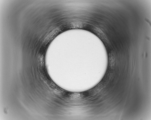 X0000101460123200808041051