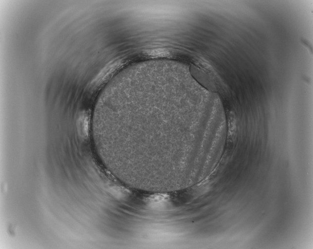 X0000101460124200808041051