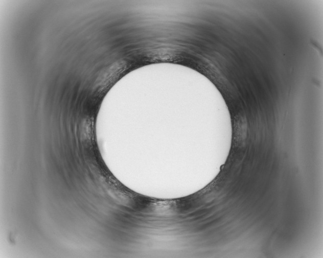 X0000101460126200808041051